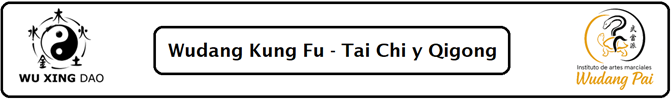 Logotipo oficial de Wu Xing Dao e Instituto Wudang Pai